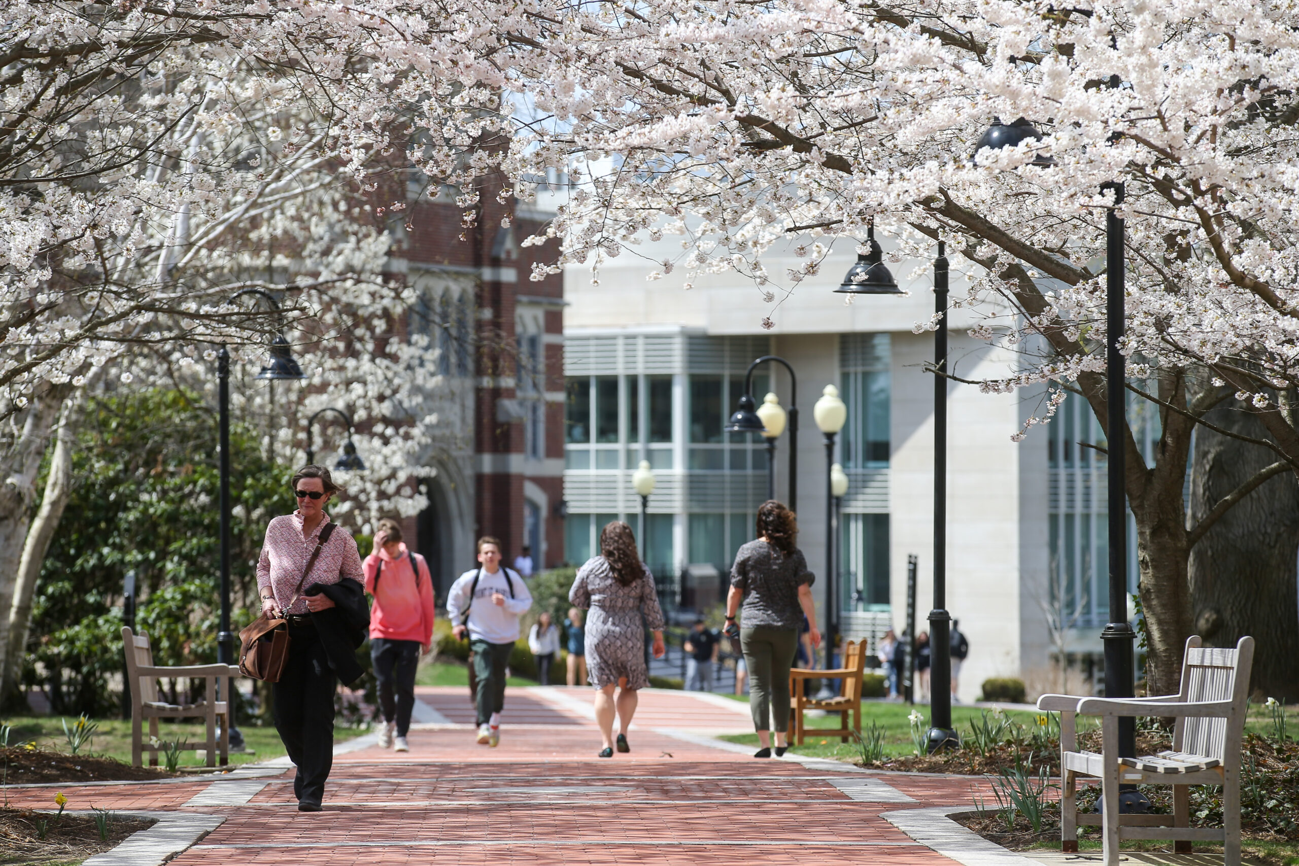 Campus spring scene